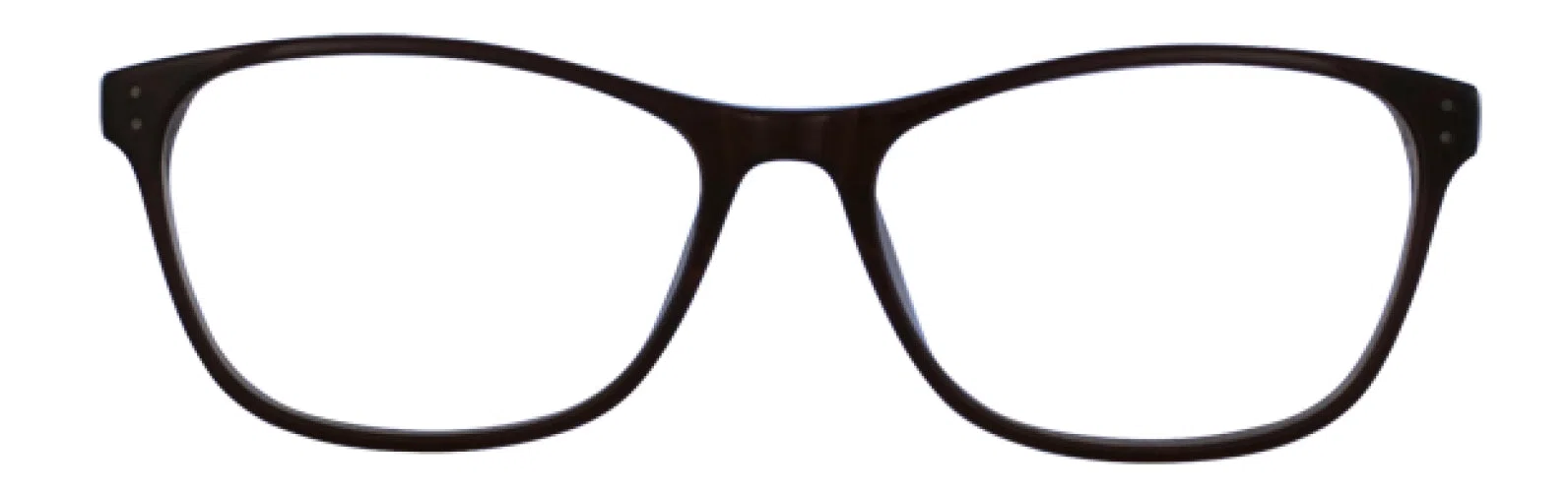 Via Spiga VSGiada Eyeglasses - view 29
